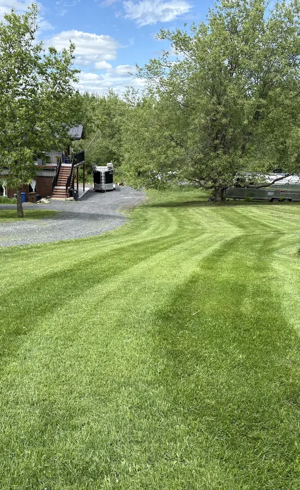 Paysage entretenu à Bromont