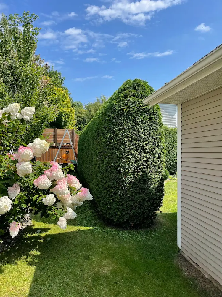 Entrée résidentielle entretenue par Services Sans Soucis