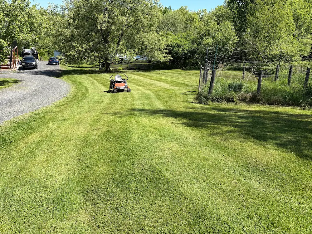 Maison moderne avec aménagement extérieur impeccable
