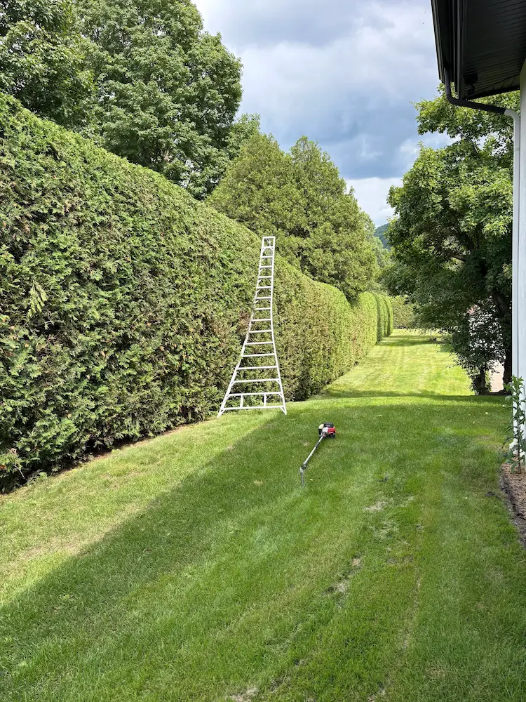 Propriété résidentielle bien entretenue