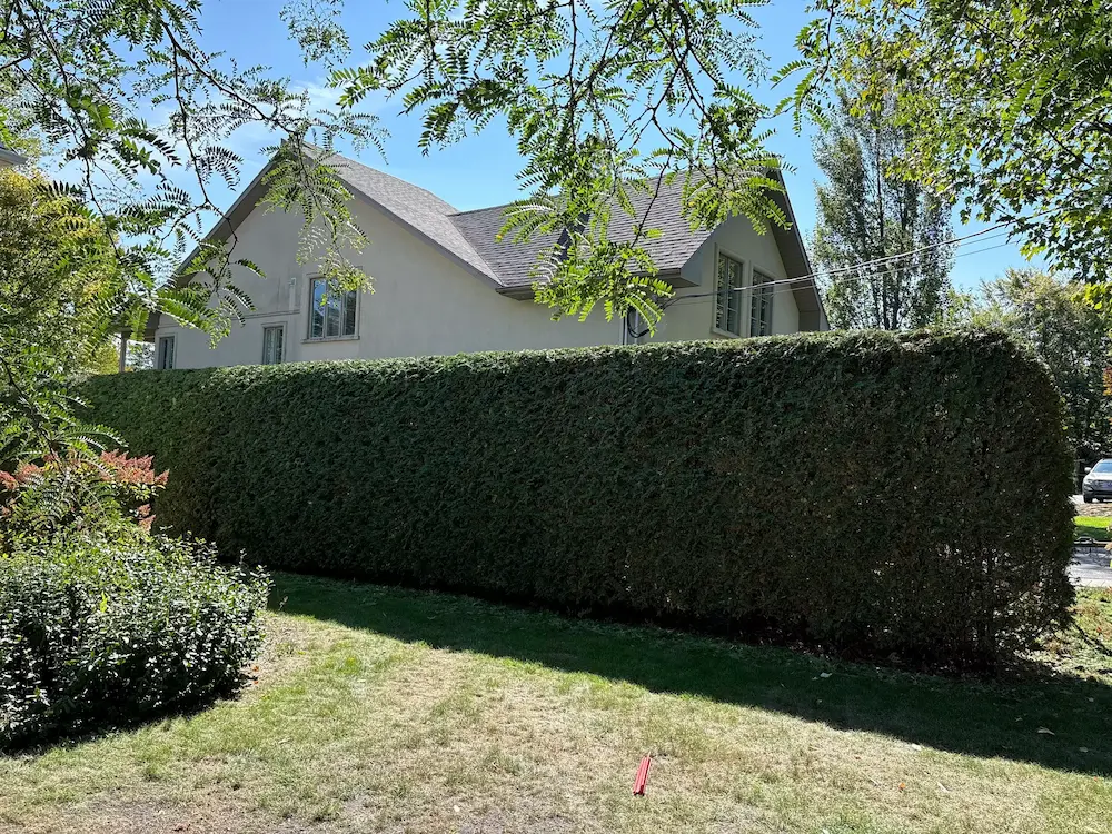 Entrée de garage dégagée et propre
