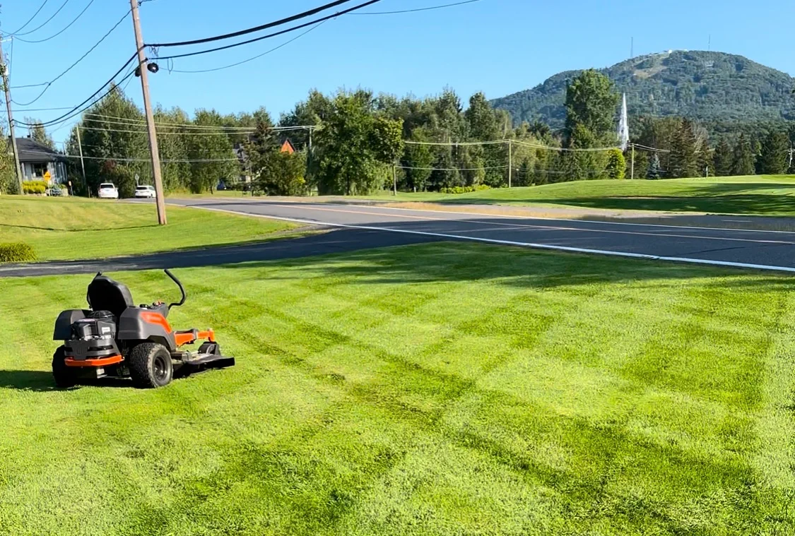 Pelouse tondue et bordures propres devant une maison